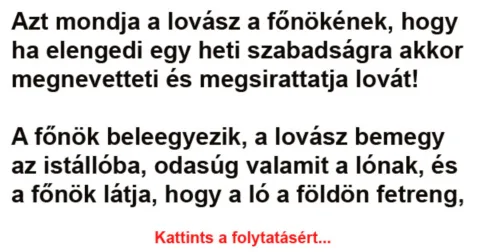 Vicc: Azt mondja a lovász a főnökének –