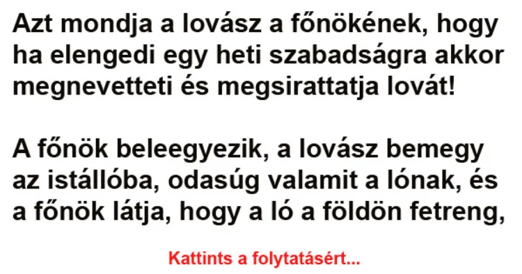 Vicc: Azt mondja a lovász a főnökének - Vicc: Azt mondja a lovász a főnökének –