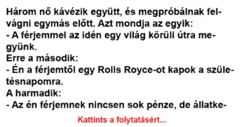 Vicc: Én a férjemtől egy Rolls Royce-ot kapok a születésnapomra. Vicc: Én a férjemtől egy Rolls Royce-ot kapok a születésnapomra. -…