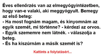 Vicc: Éves ellenőrzés van az elmegyógyintézetben –