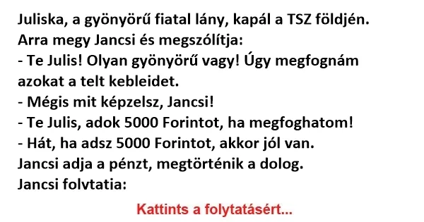 Vicc: Ha adsz 5000 Forintot, akkor jól van, csak gyere Vicc: Ha adsz 5000 Forintot, akkor jól van, csak gyere menjünk oda a…