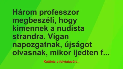 Vicc: Három professzor megbeszéli, hogy kimennek a nudista strandra