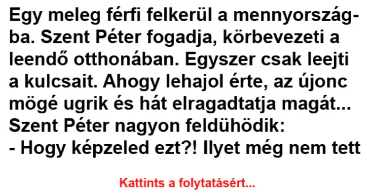Vicc: Hogy képzeled ezt?! Ilyet még nem tett senki velem Vicc: Hogy képzeled ezt?! Ilyet még nem tett senki velem –