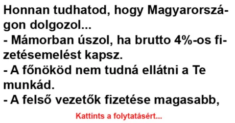 Vicc: Honnan tudhatod, hogy Magyarországon dolgozol… –