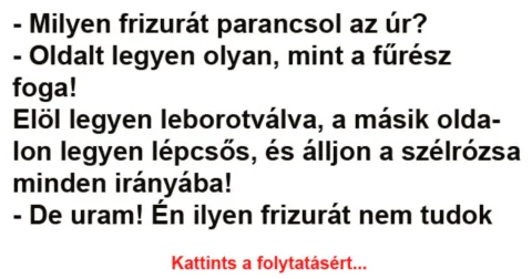 Vicc: Milyen frizurát parancsol az úr? –
