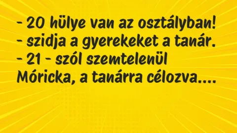 Vicc: 20 hülye van az osztályban! – szidja a gyerekeket a tanár…
