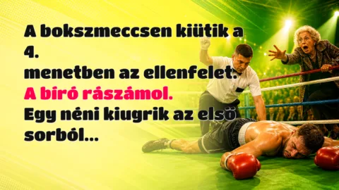 A bokszmeccsen kiütik a 4. menetben az ellenfelet. A bíró rászámol. Egy néni kiugrik az első sorból...