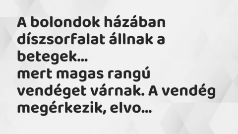 Vicc: A bolondok házában díszsorfalat állnak a betegek, mert magas rangú…
