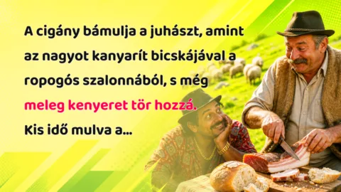 A cigány bámulja a juhászt, amint az nagyot kanyarít bicskájával a ropogós szalonnából, s még meleg kenyeret tör hozzá. Kis idő mulva a...