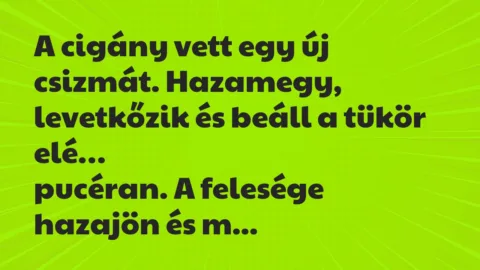 Vicc: A cigány vett egy új csizmát. Hazamegy, levetkőzik és beáll a tükör elé…