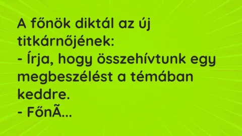 Vicc: A főnök diktál az új titkárnőjének…
