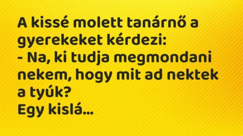 Vicc: A kissé molett tanárnő a gyerekeket kérdezi…