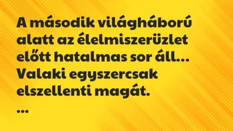 Vicc: A második világháború alatt az élelmiszerüzlet előtt hatalmas sor áll…