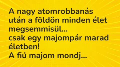 Vicc: A nagy atomrobbanás után a földön minden élet megsemmisül…