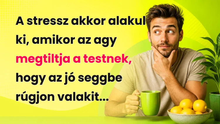Vicc: A stressz akkor alakul ki, amikor az agy megtiltja a testnek... A stressz akkor alakul ki, amikor az agy megtiltja a testnek, hogy az jó seggbe rúgjon valakit...