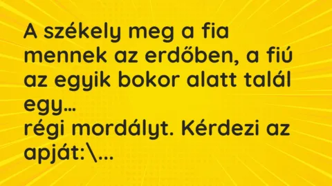 Vicc: A székely meg a fia mennek az erdőben, a fiú az egyik bokor alatt talál…