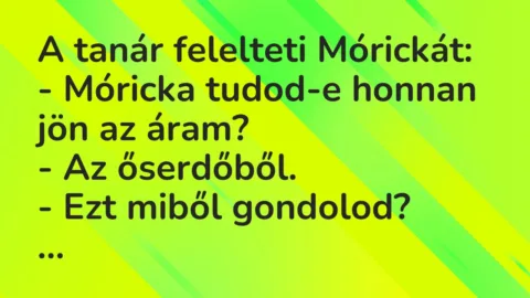 Vicc: A tanár felelteti Mórickát…