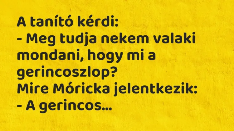 Vicc: A tanító kérdi… Vicc: A tanító kérdi…