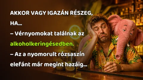 AKKOR VAGY IGAZÁN RÉSZEG, HA... – Vérnyomokat találnak az alkoholkeringésedben. – Az a nyomorult rózsaszín elefánt már megint hazáig...