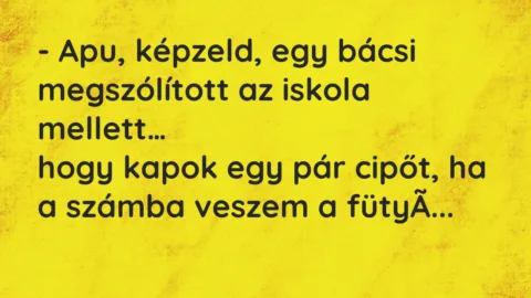 Vicc: Apu, képzeld, egy bácsi megszólított az iskola mellett…