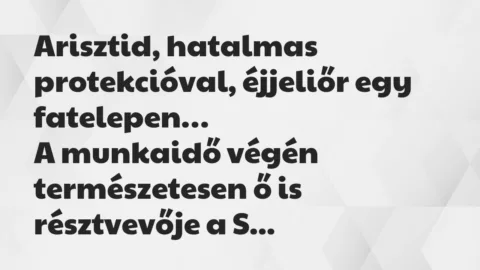 Vicc: Arisztid, hatalmas protekcióval, éjjeliőr egy fatelepen…