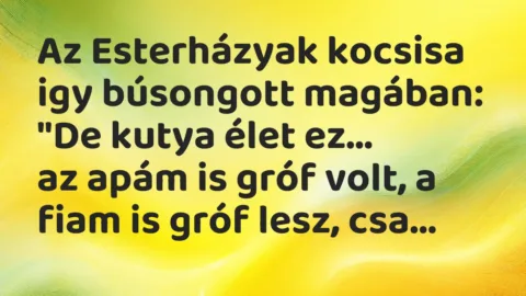 Vicc: Az Esterházyak kocsisa igy búsongott magában: “De kutya élet ez…