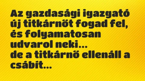 Vicc: Az gazdasági igazgató új titkárnőt fogad fel, és folyamatosan udvarol…