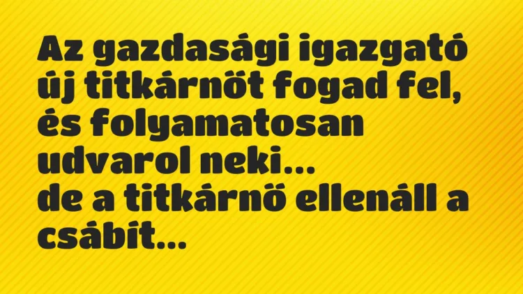 Vicc: Az gazdasági igazgató új titkárnőt fogad fel, és folyamatosan udvarol… Vicc: Az gazdasági igazgató új titkárnőt fogad fel, és folyamatosan udvarol…