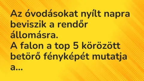 Vicc: Az óvodásokat nyílt napra beviszik a rendőr állomásra…
