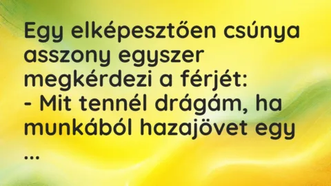Vicc: Egy elképesztően csúnya asszony egyszer megkérdezi a férjét…