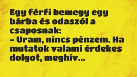 Vicc: Egy férfi bemegy egy bárba és odaszól a csaposnak…