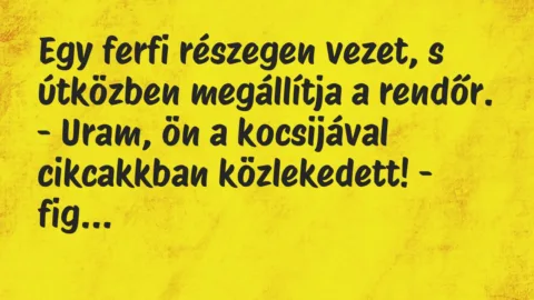 Vicc: Egy ferfi részegen vezet, s útközben megállítja a rendőr…