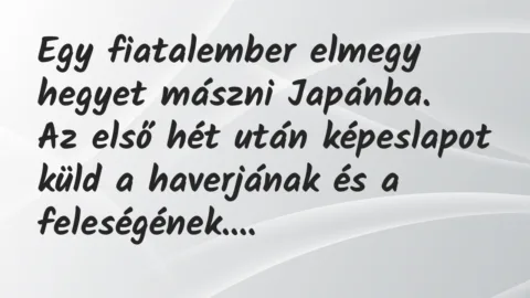 Vicc: Egy fiatalember elmegy hegyet mászni Japánba…
