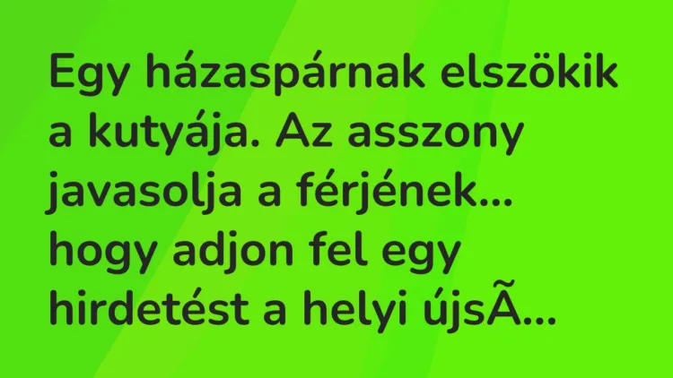 Vicc: Egy házaspárnak elszökik a kutyája. Az asszony javasolja a férjének… Vicc: Egy házaspárnak elszökik a kutyája. Az asszony javasolja a férjének…