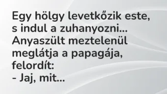 Vicc: Egy hölgy levetkőzik este, s indul a zuhanyozni. Anyaszült meztelenül…