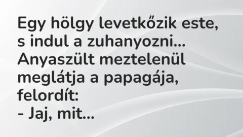 Vicc: Egy hölgy levetkőzik este, s indul a zuhanyozni. Anyaszült meztelenül… Vicc: Egy hölgy levetkőzik este, s indul a zuhanyozni. Anyaszült meztelenül…