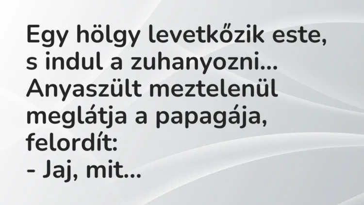 Vicc: Egy hölgy levetkőzik este, s indul a zuhanyozni. Anyaszült meztelenül… Vicc: Egy hölgy levetkőzik este, s indul a zuhanyozni. Anyaszült meztelenül…