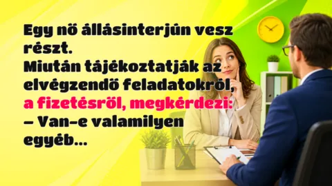 Egy nő állásinterjún vesz részt. Miután tájékoztatják az elvégzendő feladatokról, a fizetésről, megkérdezi: – Van-e valamilyen egyéb...