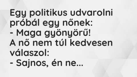 Vicc: Egy politikus udvarolni próbál egy nőnek…