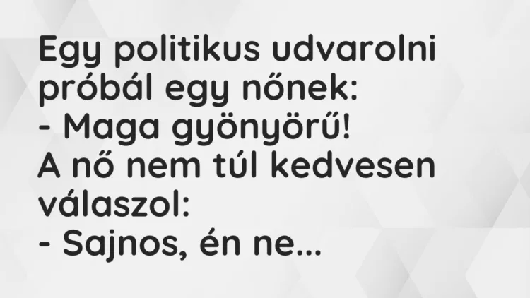 Vicc: Egy politikus udvarolni próbál egy nőnek… Vicc: Egy politikus udvarolni próbál egy nőnek…