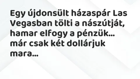 Vicc: Egy újdonsült házaspár Las Vegasban tölti a nászútját, hamar elfogy…