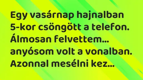 Vicc: Egy vasárnap hajnalban 5-kor csöngött a telefon. Álmosan felvettem…