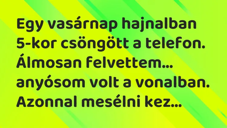 Vicc: Egy vasárnap hajnalban 5-kor csöngött a telefon. Álmosan felvettem… Vicc: Egy vasárnap hajnalban 5-kor csöngött a telefon. Álmosan felvettem…
