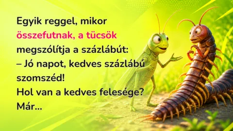 Egyik reggel, mikor összefutnak, a tücsök megszólítja a százlábút: – Jó napot, kedves százlábú szomszéd! Hol van a kedves felesége? Már...