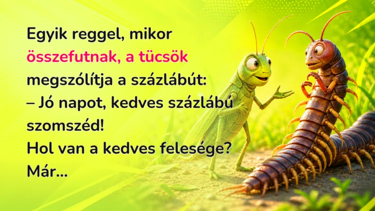 Vicc: Egyik reggel, mikor összefutnak, a tücsök megszólítja a százlábút... Egyik reggel, mikor összefutnak, a tücsök megszólítja a százlábút: – Jó napot, kedves százlábú szomszéd! Hol van a kedves felesége? Már...