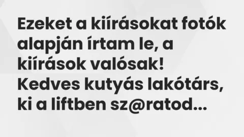 Vicc: Ezeket a kiírásokat fotók alapján írtam le, a kiírások valósak…