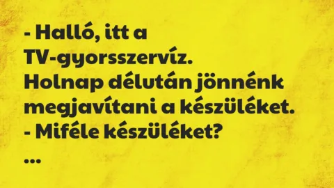 Vicc: Halló, itt a TV-gyorsszervíz…
