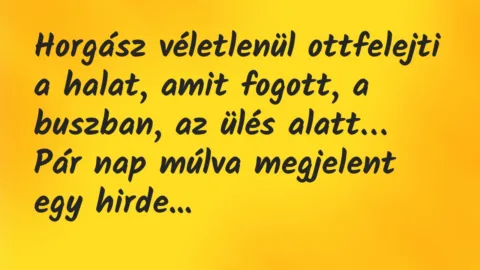 Vicc: Horgász véletlenül ottfelejti a halat, amit fogott, a buszban… Vicc: Horgász véletlenül ottfelejti a halat, amit fogott, a buszban…