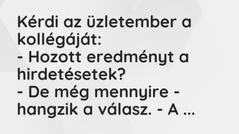 Vicc: Kérdi az üzletember a kollégáját…
