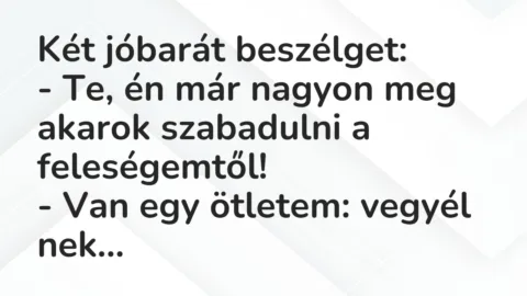 Vicc: Két jóbarát beszélget…